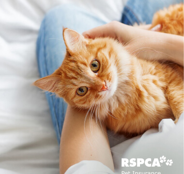 RSPCA Pet Insurance Review (2023): All You Need To Know