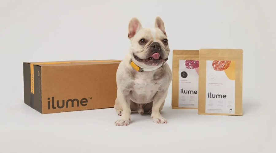 Ilume Dog Food Review 2023